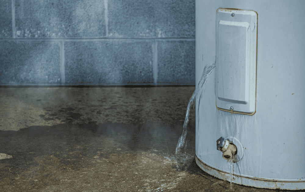 Understanding the Importance of Water Leak Detection Systems